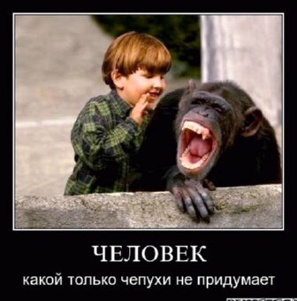 chepukha.jpg