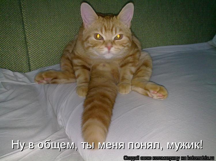 vot_tak_4.jpg