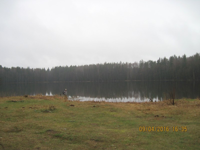 IMG_2541-izm.JPG