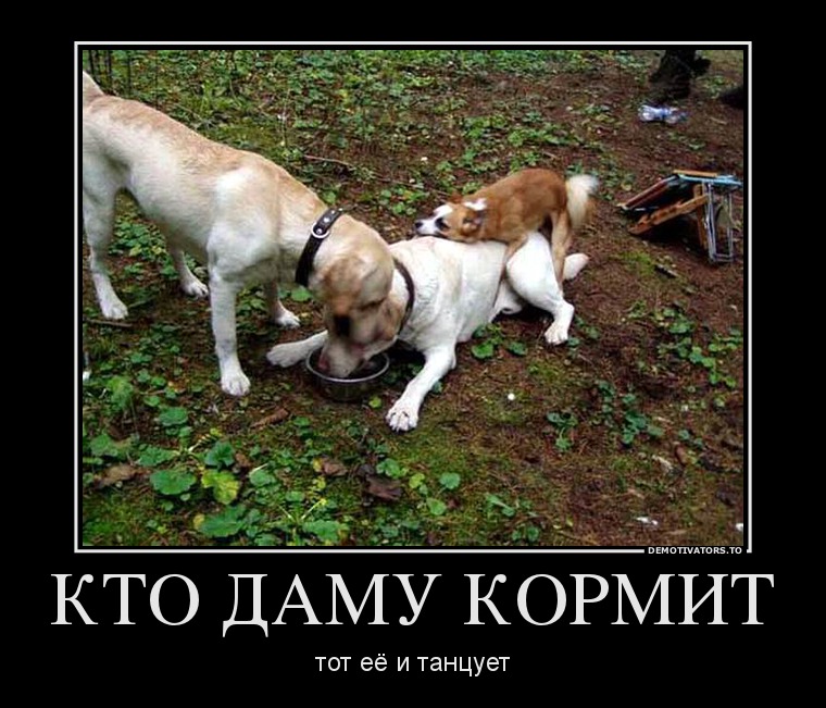 kto_kormit_tot_i_tantsuet.jpg