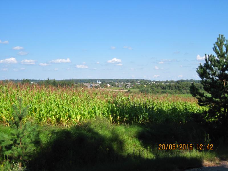 IMG_0024_7.jpg