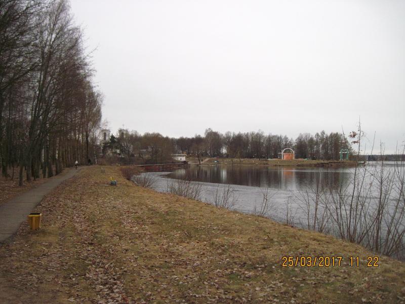 IMG_0332_3.jpg