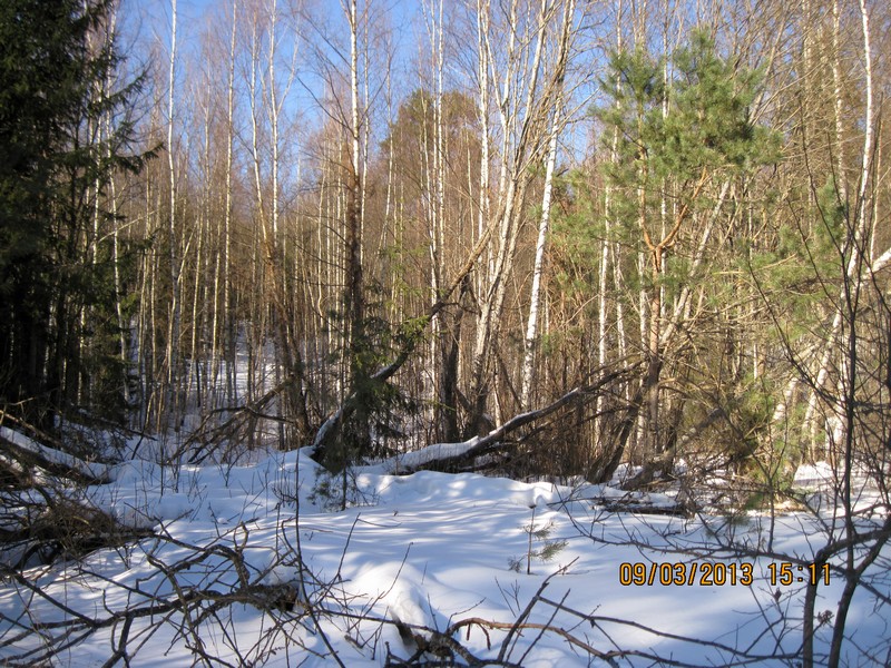 IMG_5259-izm.jpg