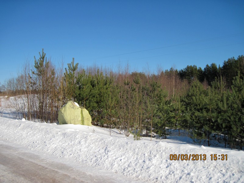 IMG_5261-izm.jpg