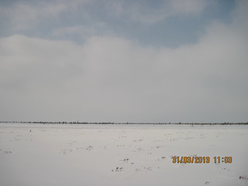 IMG_5333-izm.jpg