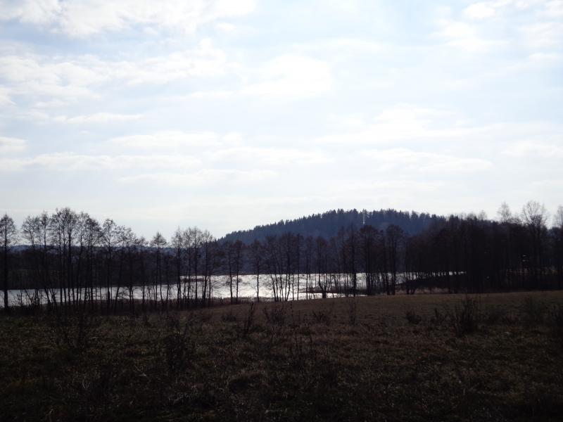 DSC04294.jpg