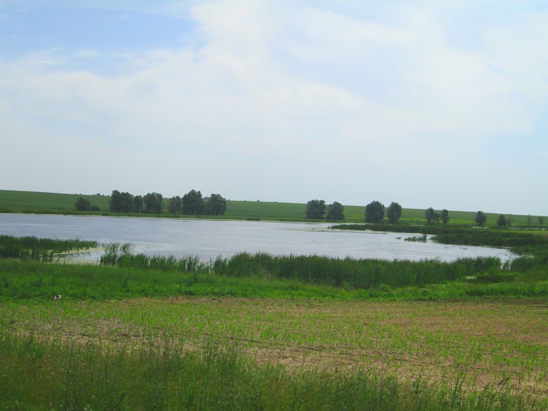 Izobrazhenie_014_24.jpg