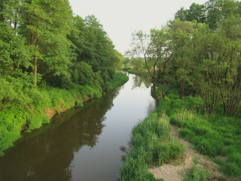 Izobrazhenie_188.jpg