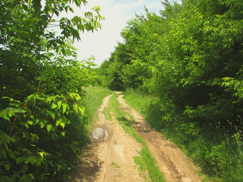 Izobrazhenie_002_42.jpg