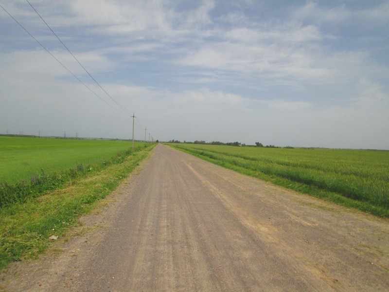 Izobrazhenie_003_52.jpg