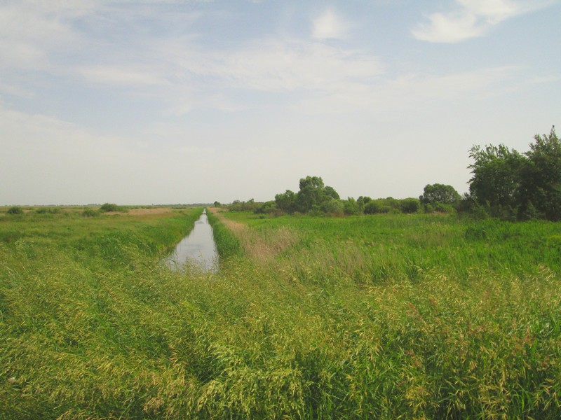 Izobrazhenie_004_39.jpg