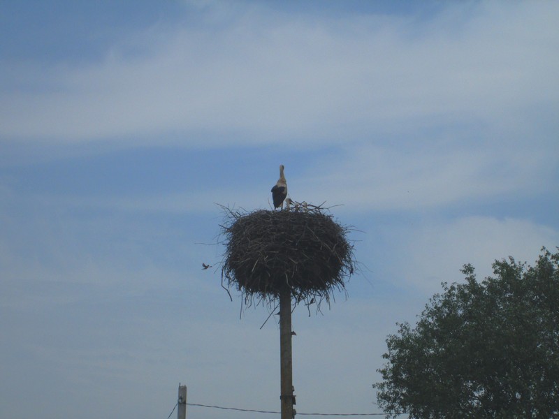 Izobrazhenie_020_16.jpg