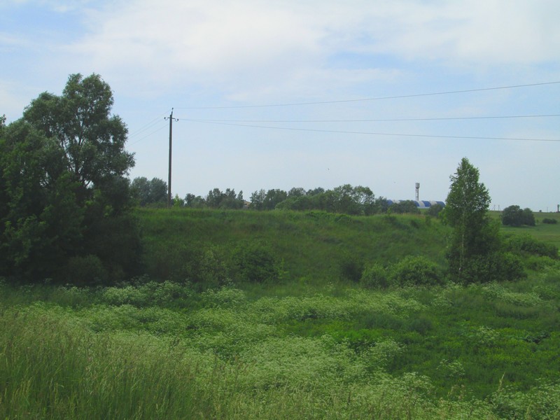 Izobrazhenie_021_9.jpg