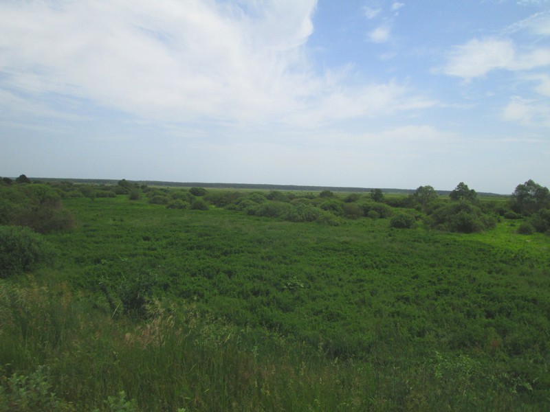 Izobrazhenie_022_16.jpg