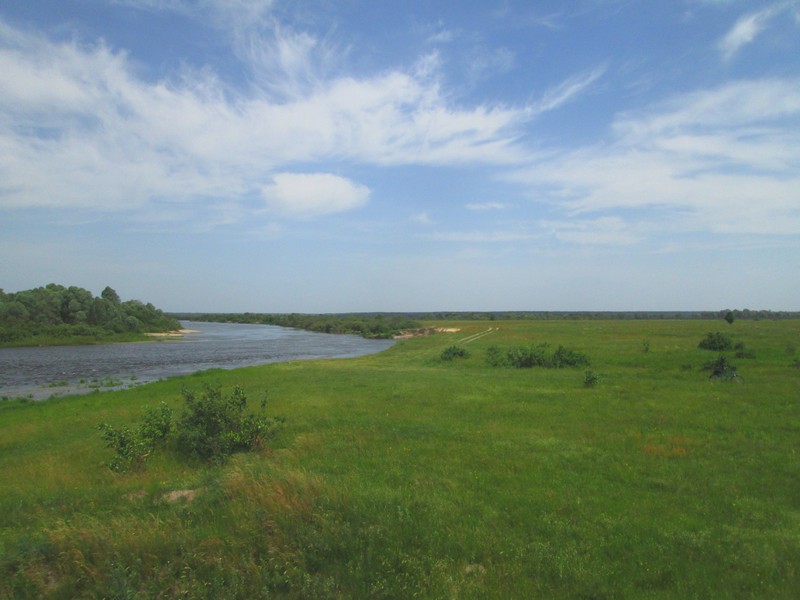 Izobrazhenie_039_8.jpg