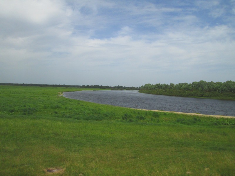 Izobrazhenie_040_12.jpg