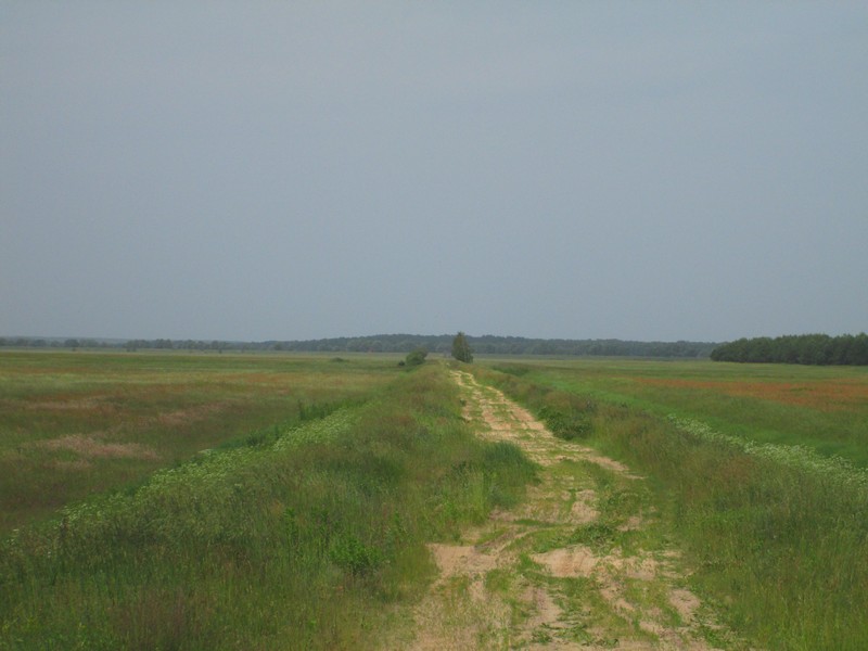 Izobrazhenie_044_8.jpg