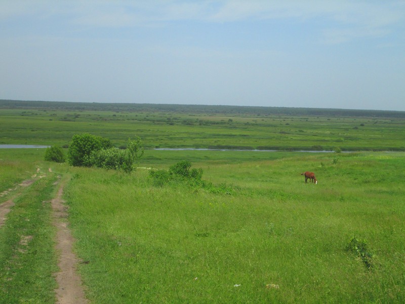 Izobrazhenie_059_6.jpg