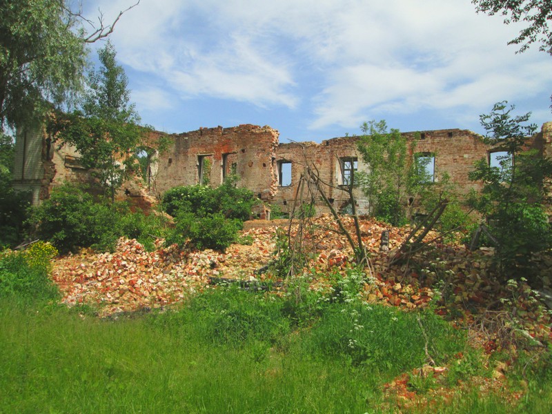 Izobrazhenie_066_7.jpg