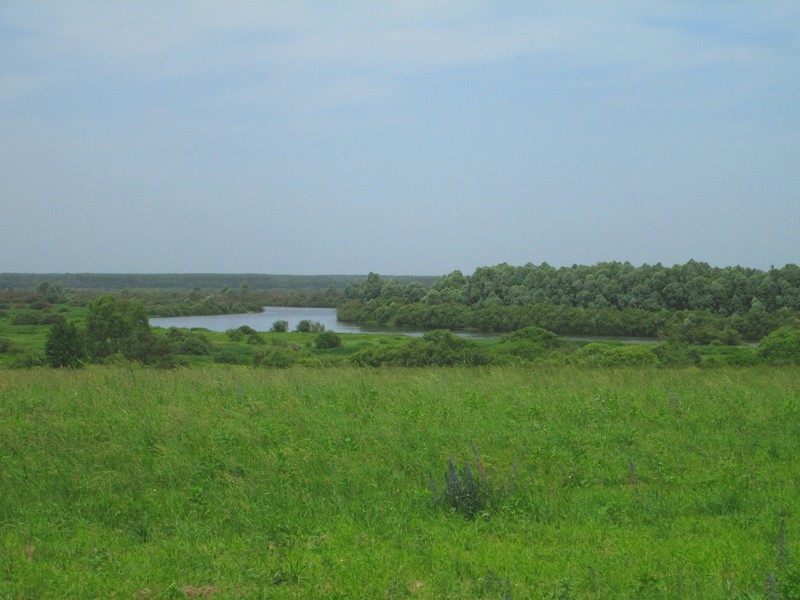 Izobrazhenie_071_5.jpg
