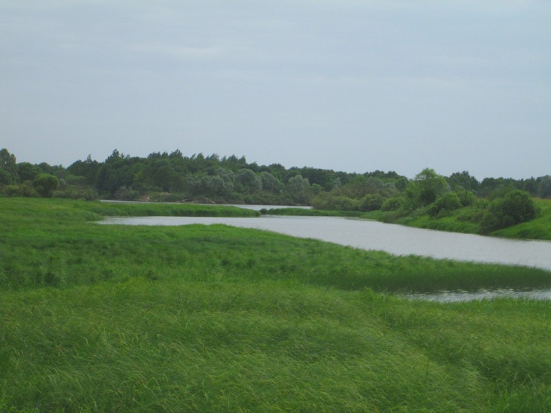 Izobrazhenie_085_5.jpg