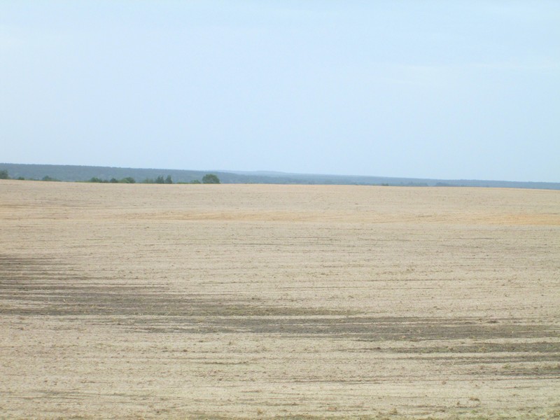 Izobrazhenie_092_5.jpg