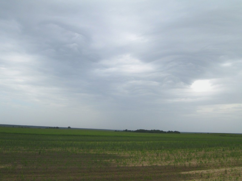 Izobrazhenie_095_6.jpg
