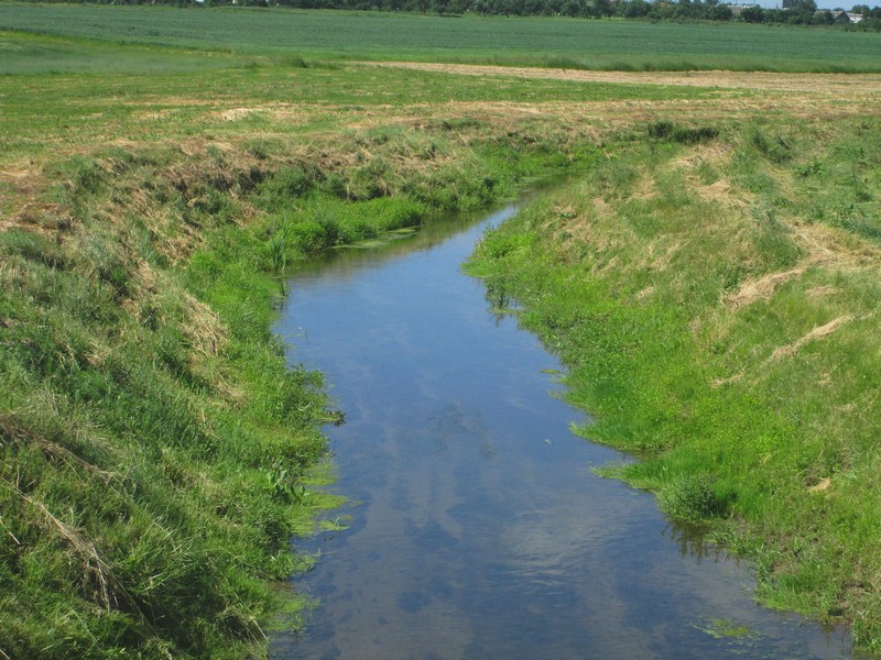 Izobrazhenie_124_3.jpg