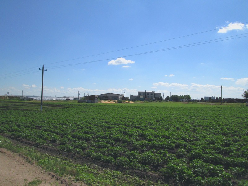 Izobrazhenie_128_2.jpg