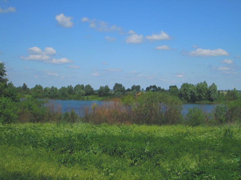 Izobrazhenie_133_4.jpg