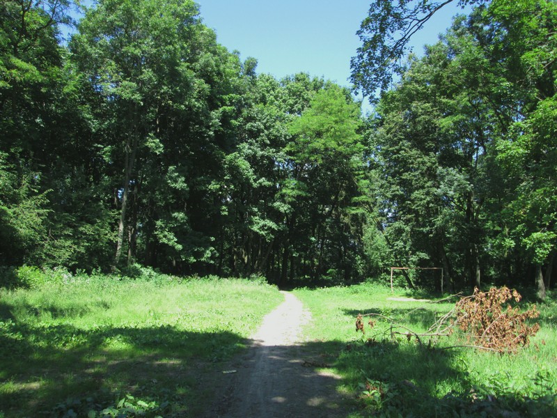 Izobrazhenie_138_2.jpg