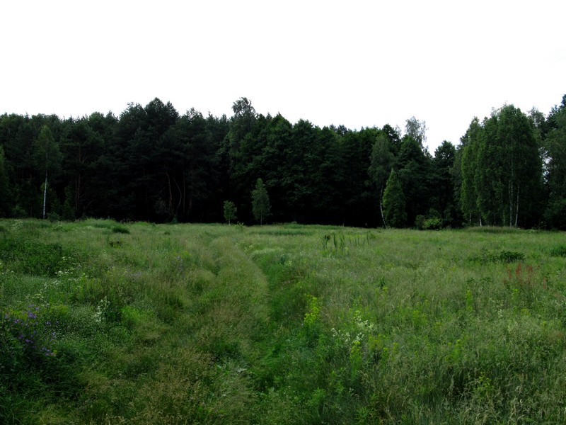 Izobrazhenie_221_3.jpg
