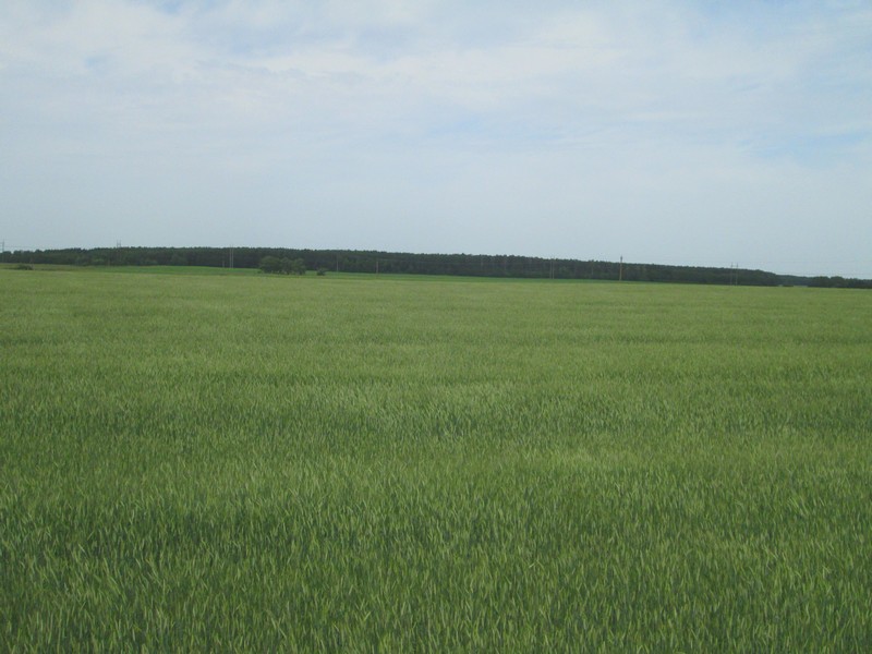 Izobrazhenie_008_28.jpg