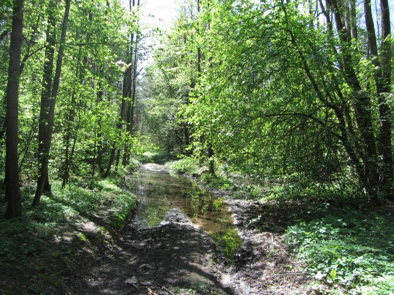 IMG_3432_5.jpg