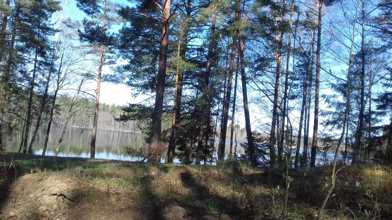 20180429_093820.jpg