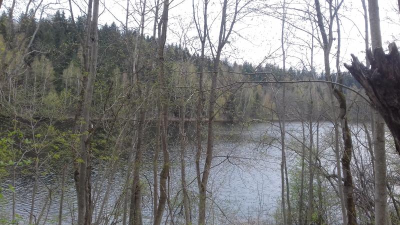 20180429_152355.jpg