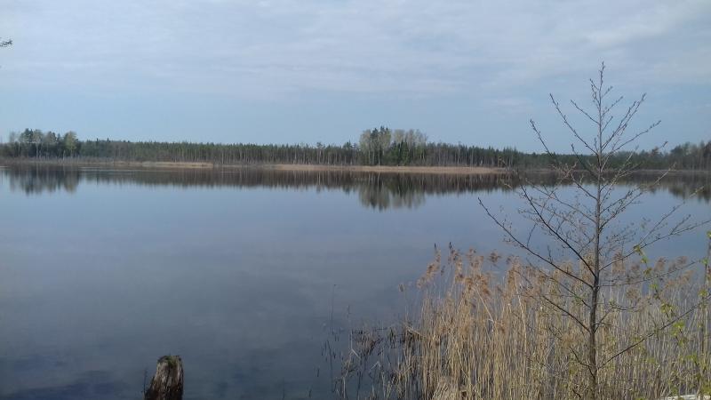 20180430_125600.jpg