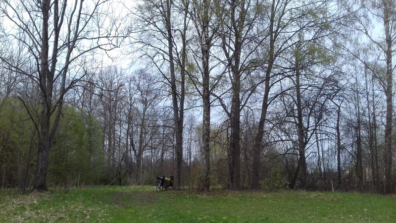 20180429_143035.jpg