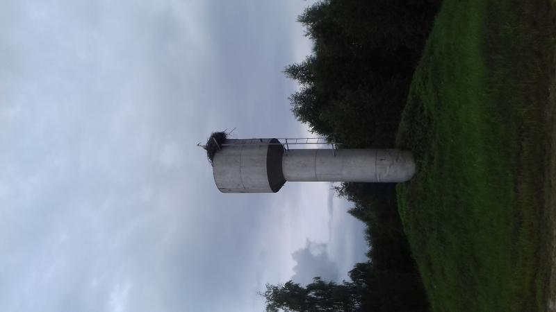 20180709_180729.jpg
