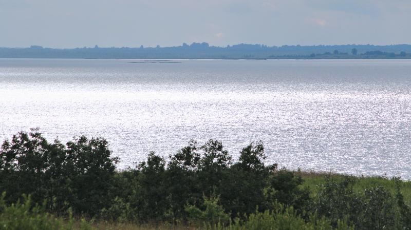 IMG_5697irt.jpg