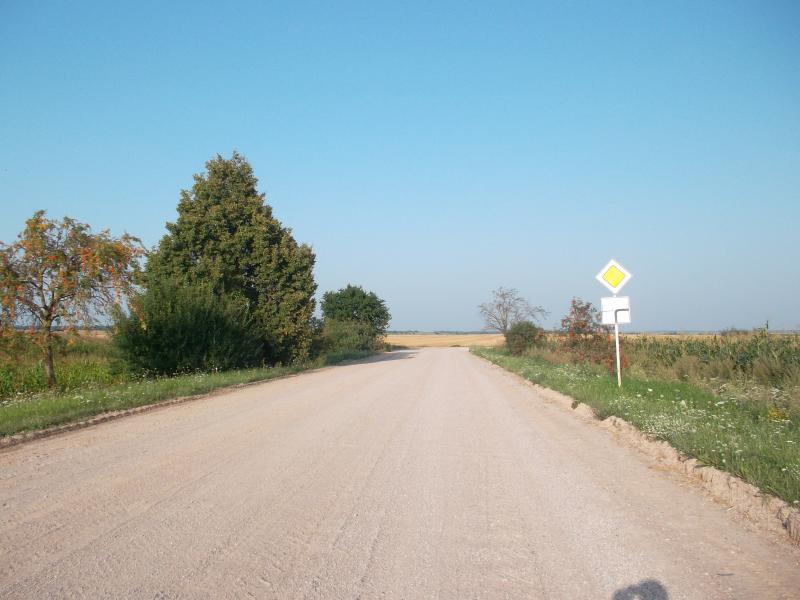 SAM_1155.jpg