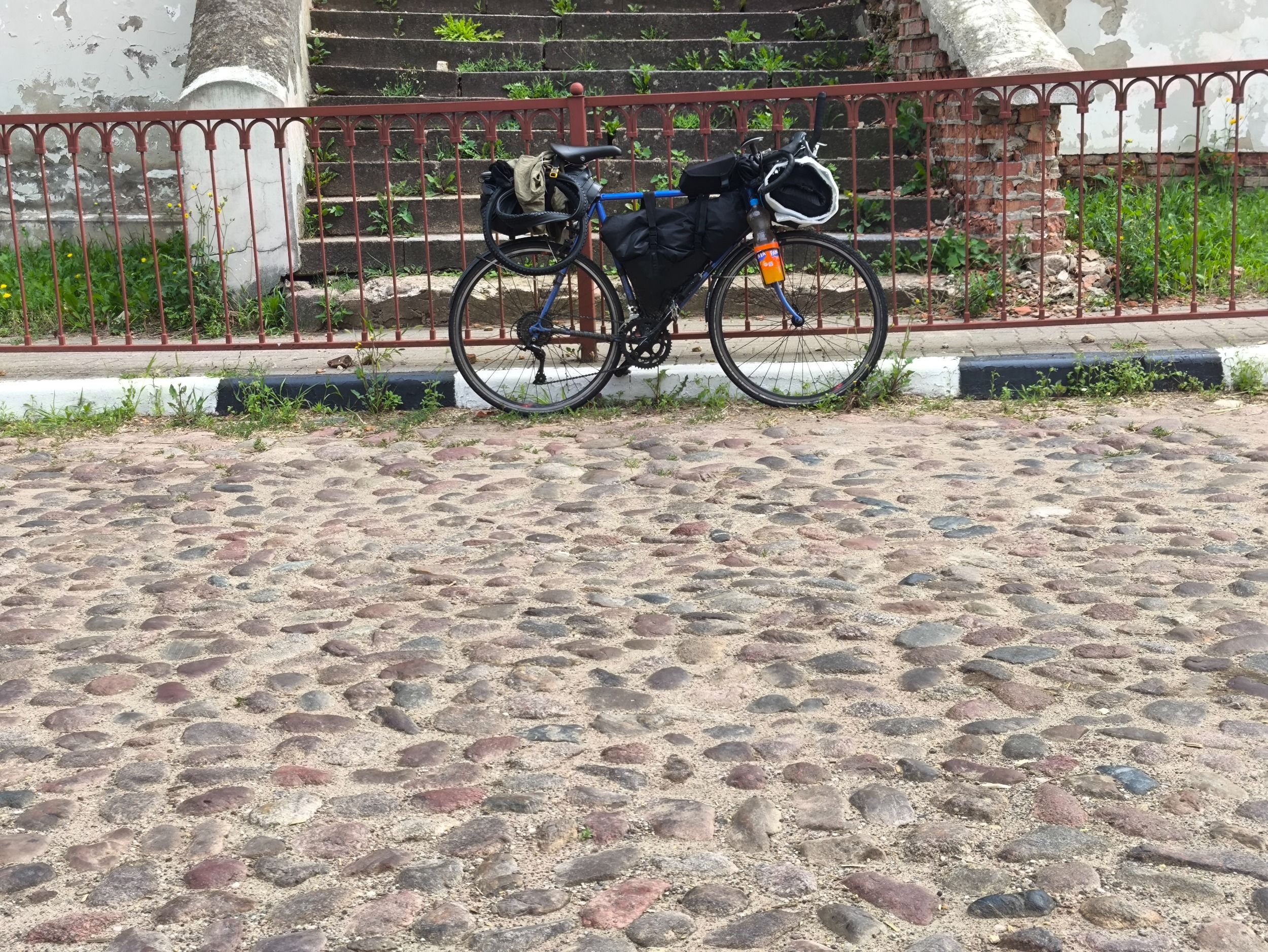 IMG_20240726_130003.jpg