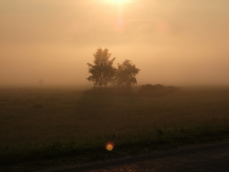 DSCF2097s.JPG