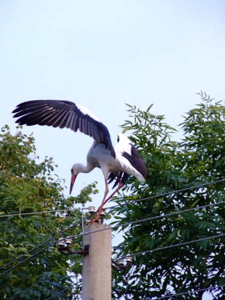 DSCF7552.JPG