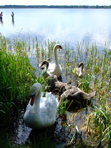 DSCF7579.JPG
