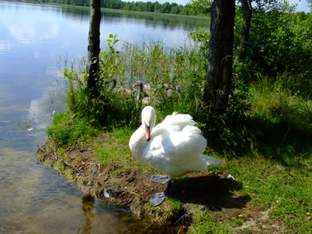 DSCF7616.JPG