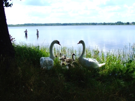 DSCF7593.JPG