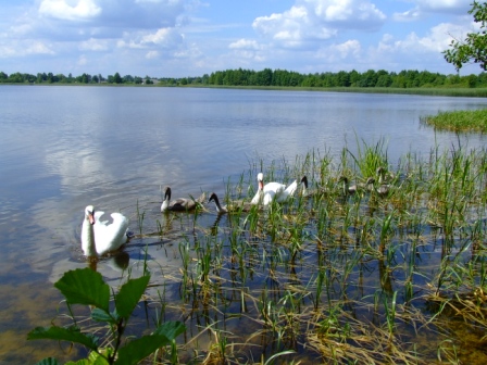 DSCF7598.JPG