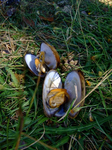 DSCF7619.JPG