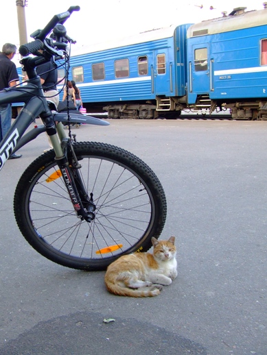 DSCF7648.JPG